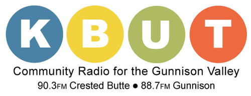 KBUT Transistor Radio with bud