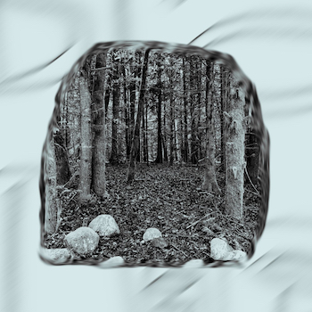 forest ring black light cover art 2024