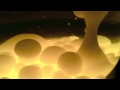Rollerstick by Black Light
